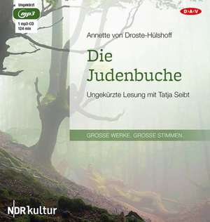 Die Judenbuche de Annette von Droste-Hülshoff