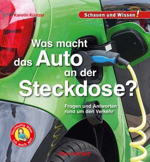 Was macht das Auto an der Steckdose? de Karolin Küntzel