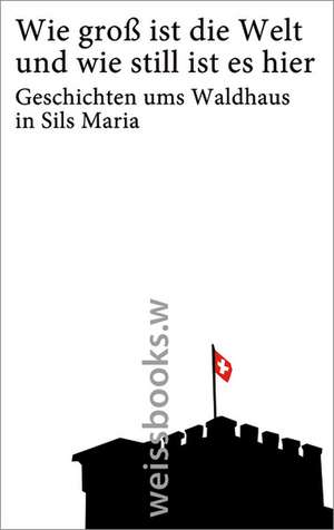 Wie groß ist die Welt und wie still ist es hier. Geschichten ums Waldhaus in Sils Maria de Felix Dietrich