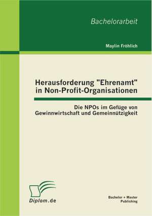 Herausforderung "Ehrenamt" in Non-Profit-Organisationen: Die Npos Im Gef GE Von Gewinnwirtschaft Und Gemeinn Tzigkeit de Maylin Fröhlich