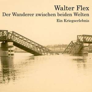 Der Wanderer zwischen beiden Welten de Walter Flex