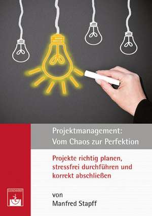 Projektmanagement: Vom Chaos zur Perfektion de Manfred Stapff