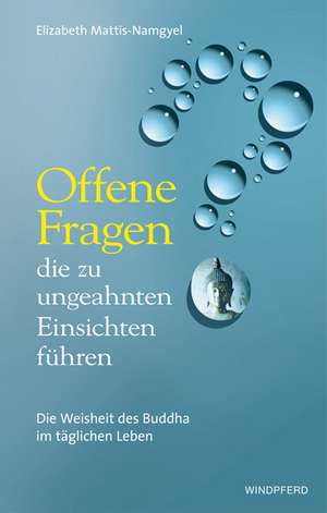 Offene Fragen, die zu ungeahnten Einsichten führen de Elizabeth Mattis-Namgyel