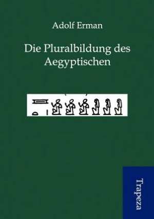 Die Pluralbildung des Aegyptischen de Adolf Erman