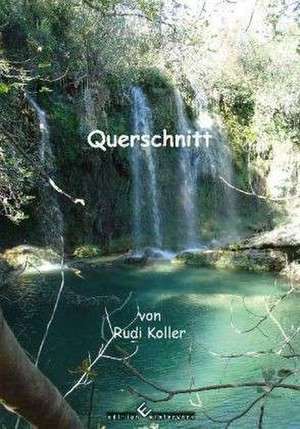 Querschnitt de Rudi Koller