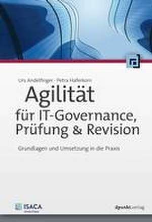 Agilität für IT-Governance, Prüfung & Revision de Urs Andelfinger