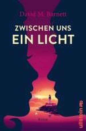 Zwischen uns ein Licht de David M. Barnett