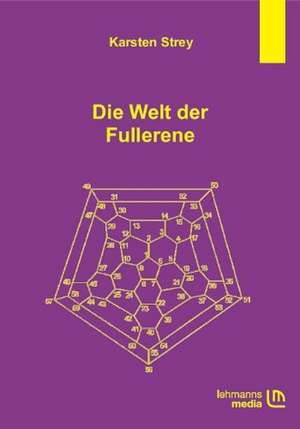 Die Welt der Fullerene de Karsten Strey