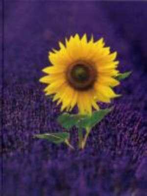 Lavenderfield with Sunflower Blankbook