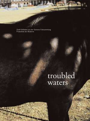 Troubled Waters de Ulrich Bischoff