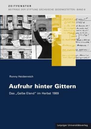 Aufruhr hinter Gittern de Ronny Heidenreich