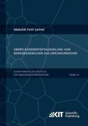 Oberflächendefektausheilung und Festigkeitssteigerung von niederdruckspritzgegossenen Mikrobiegebalken aus Zirkoniumdioxid de Abdullah Fatih Çetinel