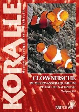 Clownfische im Meerwasseraquarium de Wolfgang Mai