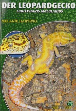 Der Leopardgecko - Eublepharis Macularius de Melanie Hartwig