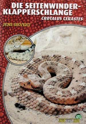 Die Seitenwinder-Klapperschlange - Crotalus Cerastes de Jens Sievert