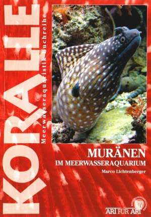 Muränen im Meerwasseraquarium de Marco Lichtenberger