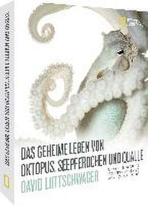 Das geheime Leben von Oktopus, Seepferdchen und Qualle de David Liittschwager