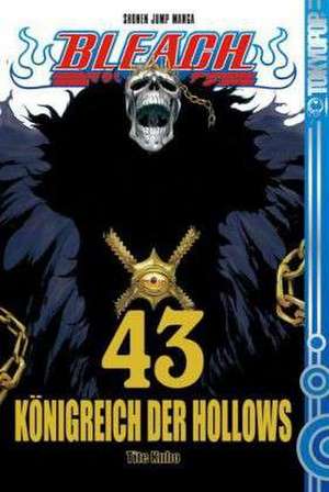 Bleach 43 de Tite Kubo