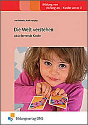 Die Welt verstehen de Ann Roberts