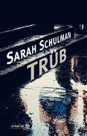 Trüb de Sarah Schulman