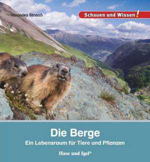 Die Berge de Veronika Straaß