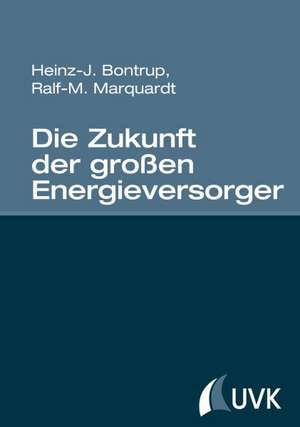 Die Zukunft der großen Energieversorger de Heinz-J. Bontrup