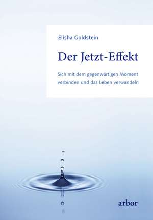 Der Jetzt-Effekt de Elisha Goldstein