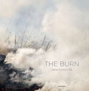 The Burn de Jane Fulton Alt