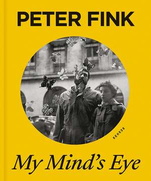 My Mind's Eye de Peter Fink