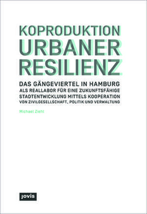 Koproduktion Urbaner Resilienz de Michael Ziehl