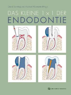 Das kleine 1x1 der Endodontie de David Sonntag