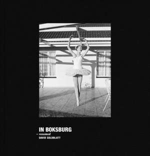 David Goldblatt: In Boksburg de David Goldblatt