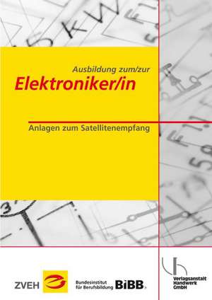 Ausbildung zum/zur Elektroniker/in Bd. 2 - Anlagen zum Satellitenempfang de Werner Stelter