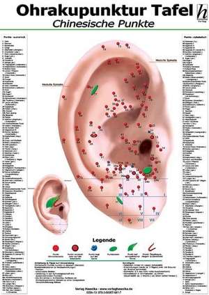 Ohrakupunktur-Tafel - chinesische Punkte