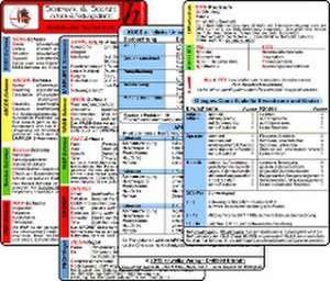 Schemata & Scores in Klinik & Rettungsdienst (2 Karten Set) - SSSS-Schema, ABCDE-Schema, Basics-Schema, IPAP-Schema, SAMPLER(!)S, WASB, FAST, OPQRST, PECH-Regel, DMS, 4Hs, HITS, GCS, KUSS, APGAR de Sven Berghaus