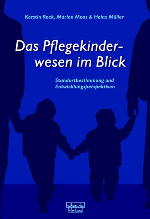 Das Pflegekinderwesen im Blick de Kerstin Rock