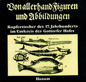 Von allerhand Figuren und Abbildungen de Holger Borzikowsky