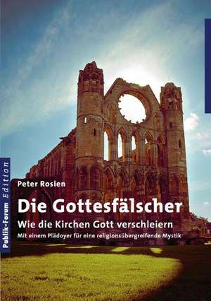 Die Gottesfälscher de Peter Rosien