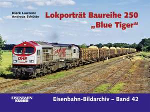 Lokporträt Baureihe 250 "Blue Tiger"