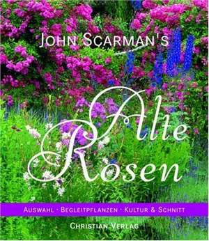 John Scarman's Alte Rosen de John Scarman