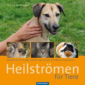 Heilströmen für Tiere de Tina von der Brüggen