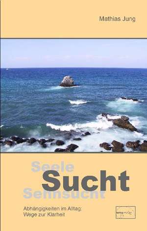 Seele, Sucht, Sehnsucht de Mathias Jung