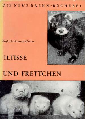 Iltisse und Frettchen de Konrad Herter