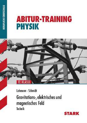 Training FOS/BOS Physik. Gravitations-, elektrisches und magnetisches Feld de Eberhard Lehmann