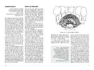 Der Permakultur-Garten de Graham Bell