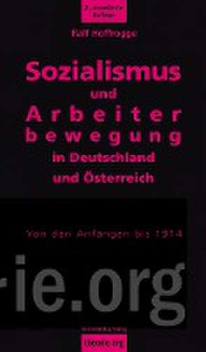 Sozialismus und Arbeiterbewegung in Deutschland und Österreich de Ralf Hoffrogge