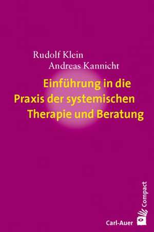 Einführung in die Praxis der systemischen Therapie und Beratung de Rudolf Klein