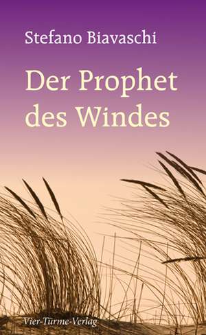 Der Prophet des Windes de Stefano Biavaschi