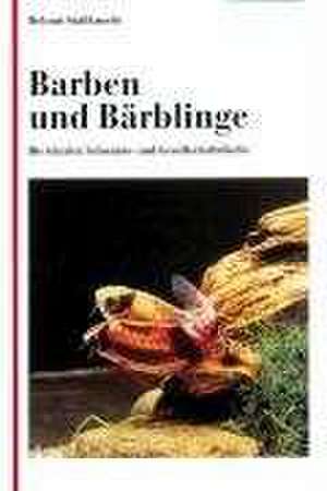 Barben und Bärblinge de Helmut Stallknecht