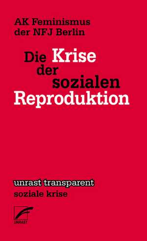 Die Krise der sozialen Reproduktion de trouble everyday collective